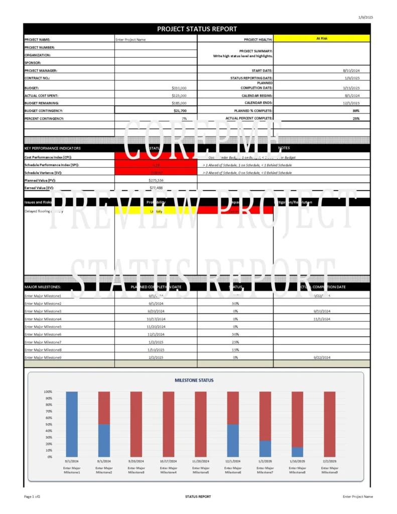 Status Report Template – Excel Document with Built-in Macros